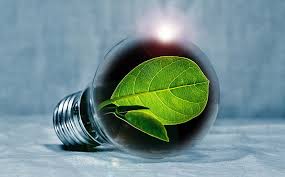 LED Bulbs Eco-Friendly