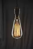 Squirrel Cage ST64 Filament Bulb 60W