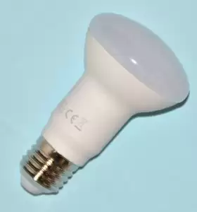 LED R63 Frosted E27