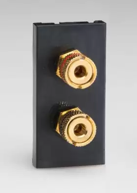 Varilight Speaker Module Z2GSP2B