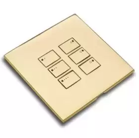 Wired EOS plate Polished Brass WP-EOS-60-PB